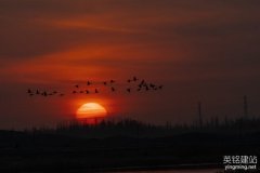 望城公司網站建設