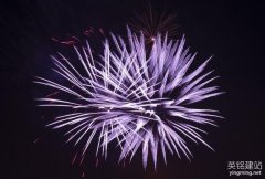 望城專業建設網站