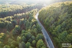 公司網(wǎng)頁設計