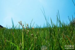 學校網(wǎng)站建設