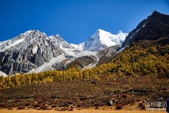 網(wǎng)站制作企業(yè)