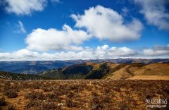 網(wǎng)站建設找哪家