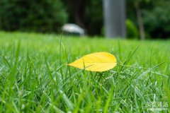 望城官網(wǎng)搭建公司