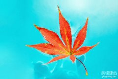 公司網(wǎng)站設(shè)計