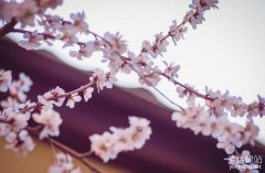 企業(yè)網(wǎng)站設(shè)計