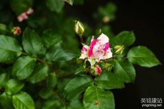 望城網(wǎng)站建站