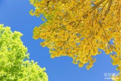 裝飾公司網站建設