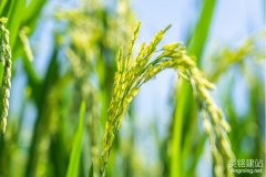 長沙公司網頁設計