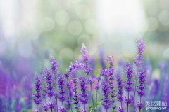 長沙網站建設價格