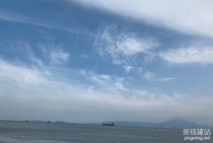 網站建設開發公司