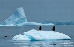 專業網站制作公司