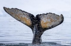 長(zhǎng)沙做網(wǎng)站公司