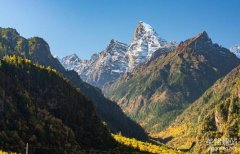 展示型網(wǎng)站制作