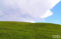 網(wǎng)站制作公司