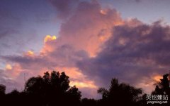 公司網(wǎng)站制作費(fèi)用