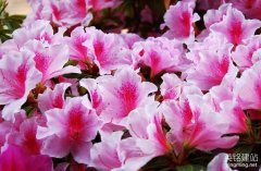 長(zhǎng)沙網(wǎng)頁制作公司