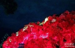 專業(yè)網(wǎng)頁設(shè)計(jì)