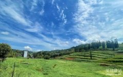 網站建設推廣怎么做?