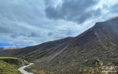 電氣行業網站建設