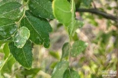 長沙企業網站建設公司如何選？