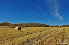 長(zhǎng)沙企業(yè)網(wǎng)站設(shè)計(jì)如何做好？