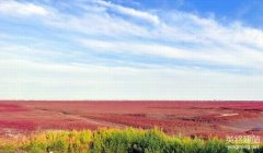 長沙網站公司如何選擇？