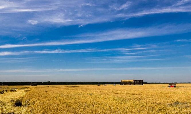 長沙做網站有哪些要求？（長沙做網站的5個重點要求）